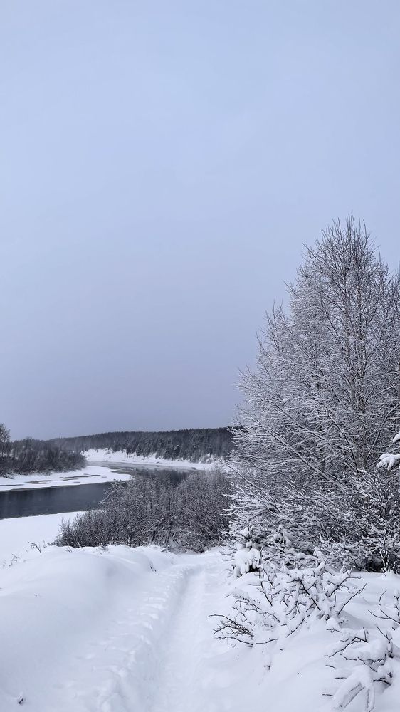 Photograph by Alina Andreevna