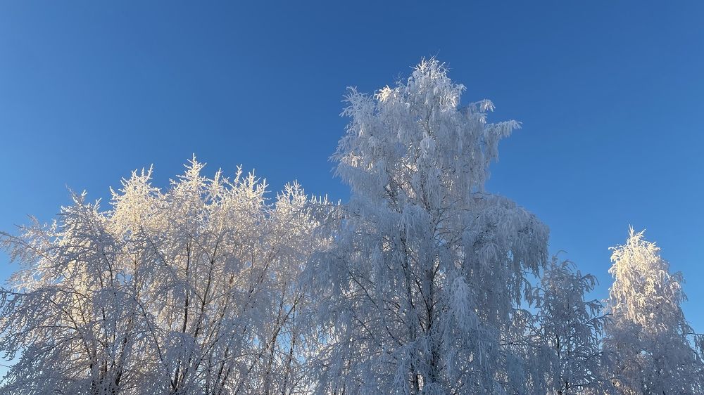 Photograph by Alina Andreevna