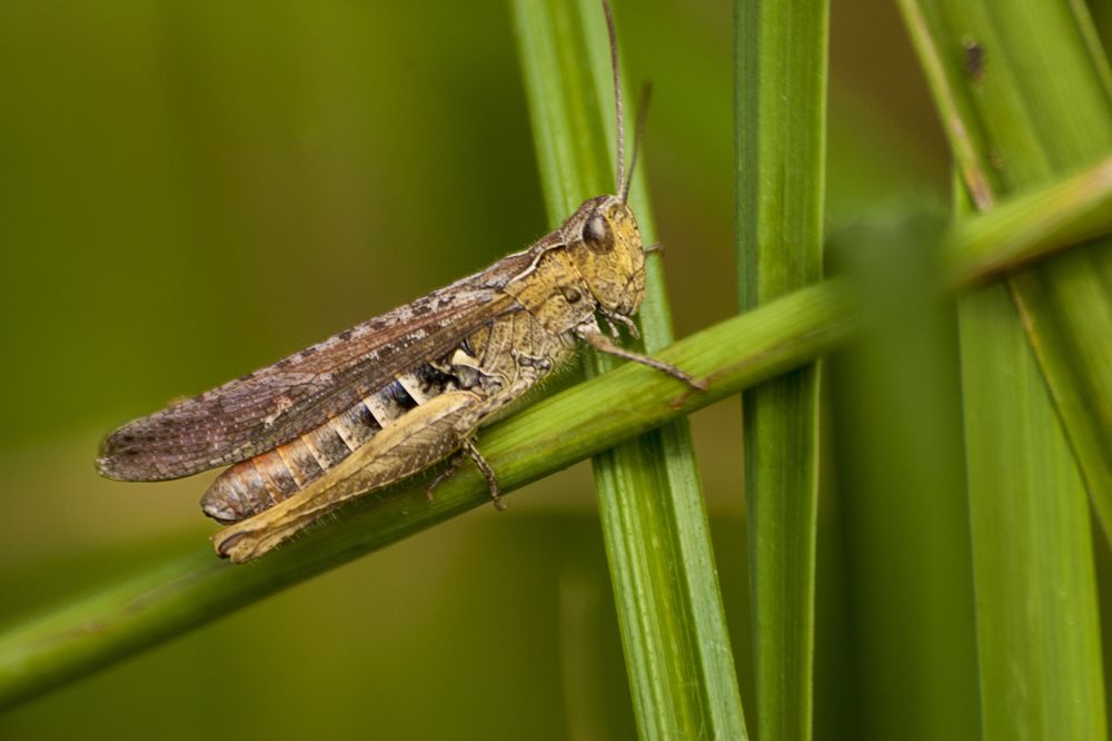 Photograph by Александр Савельев