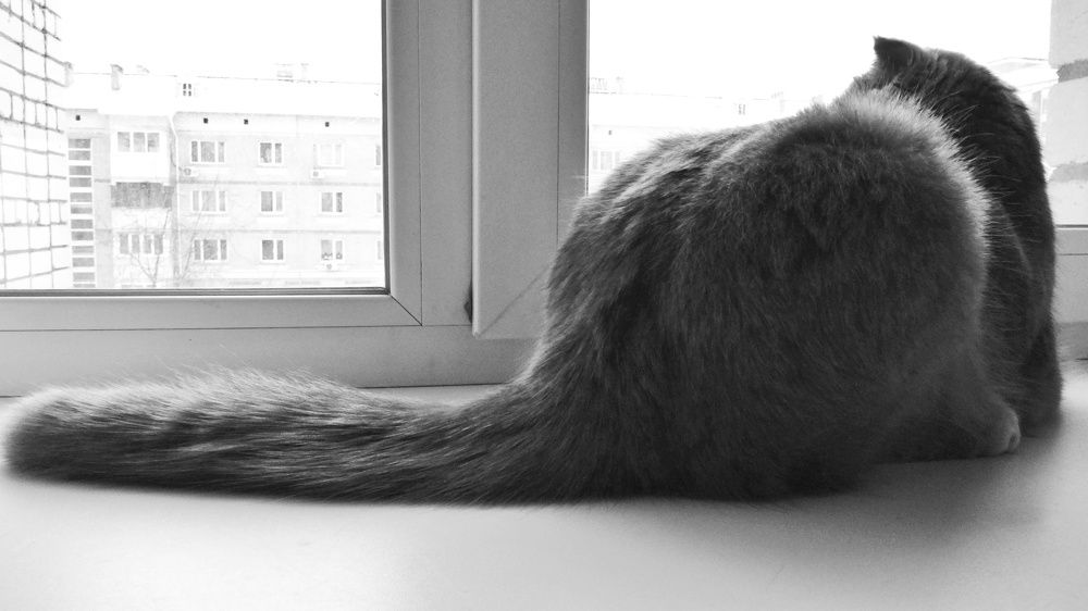 Photograph by Елена Силантьева