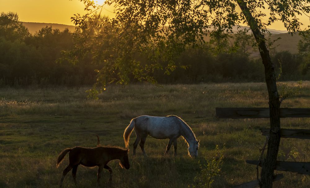 Photograph by Irina Luidinshina