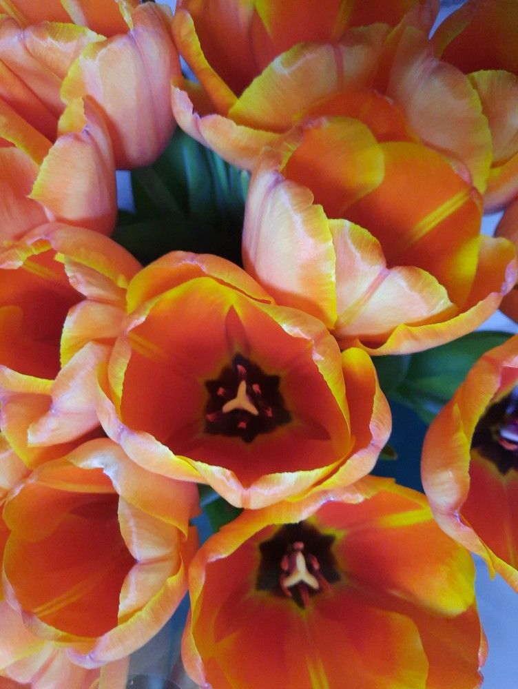 Photograph by Юлия