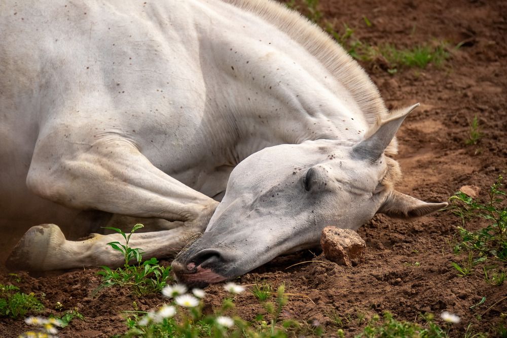 Photograph by Марина Виноградова