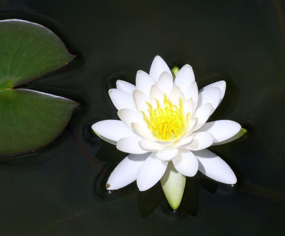 Photograph by Pjotr Alekseev