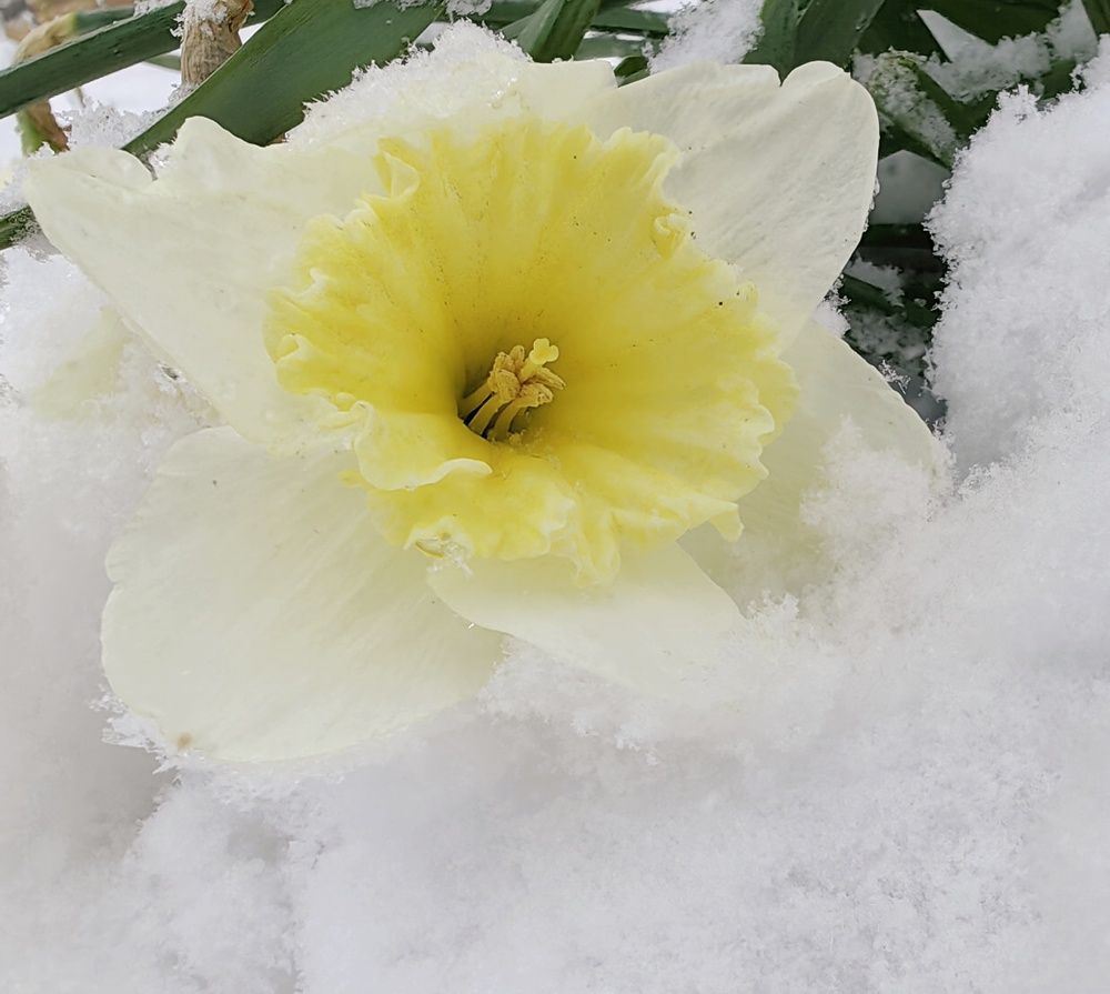 Photograph by Maiya Bulatova