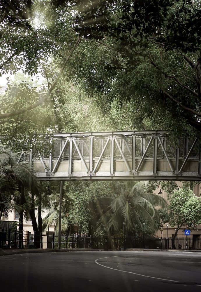 Photograph by Sachintha Jarathne