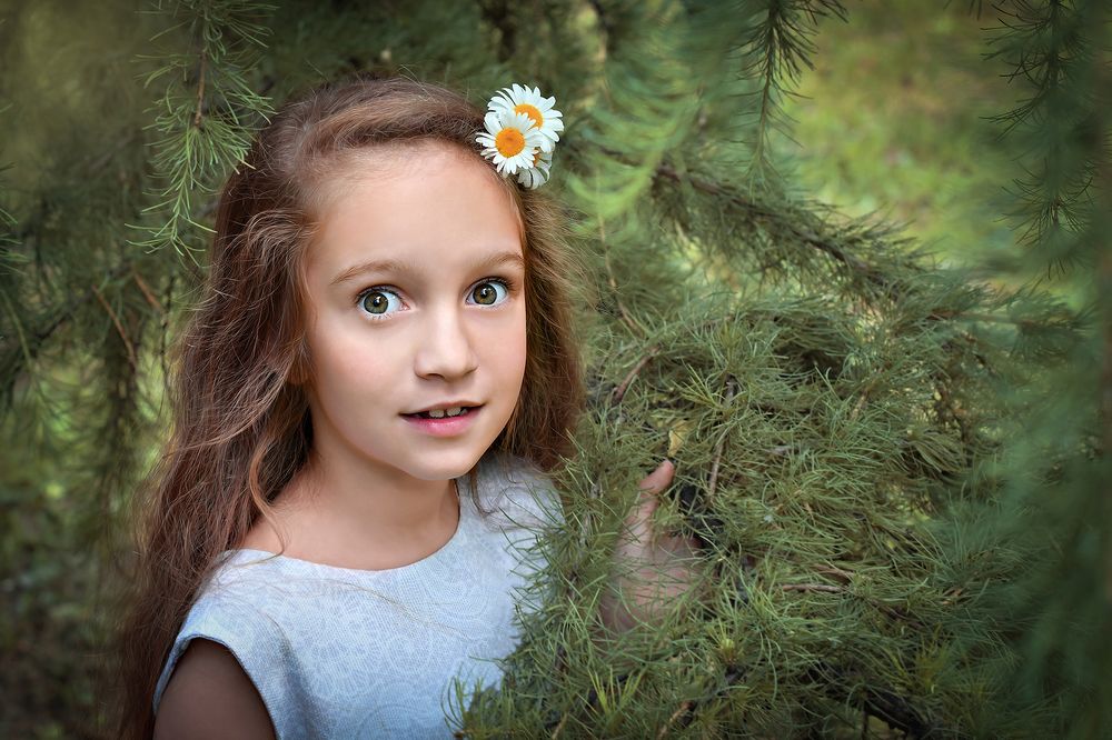 Фотография автора Алла Кожевникова