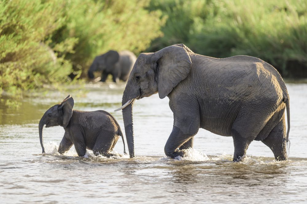 Photograph by Sergey Puponin