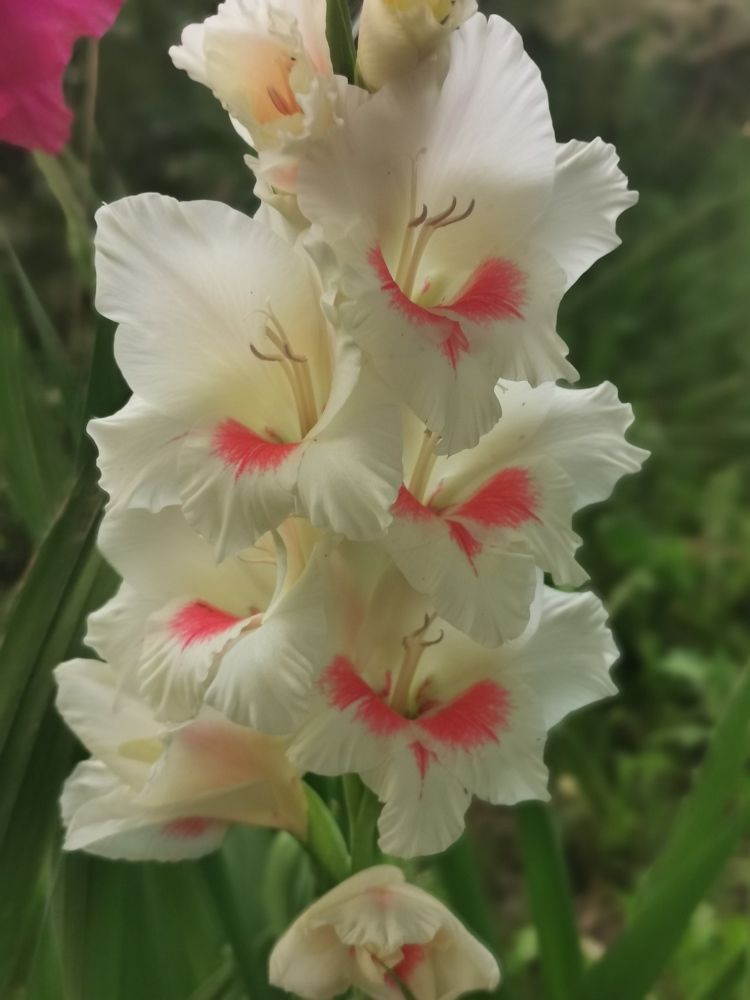 Photograph by Nikolett Mengyi