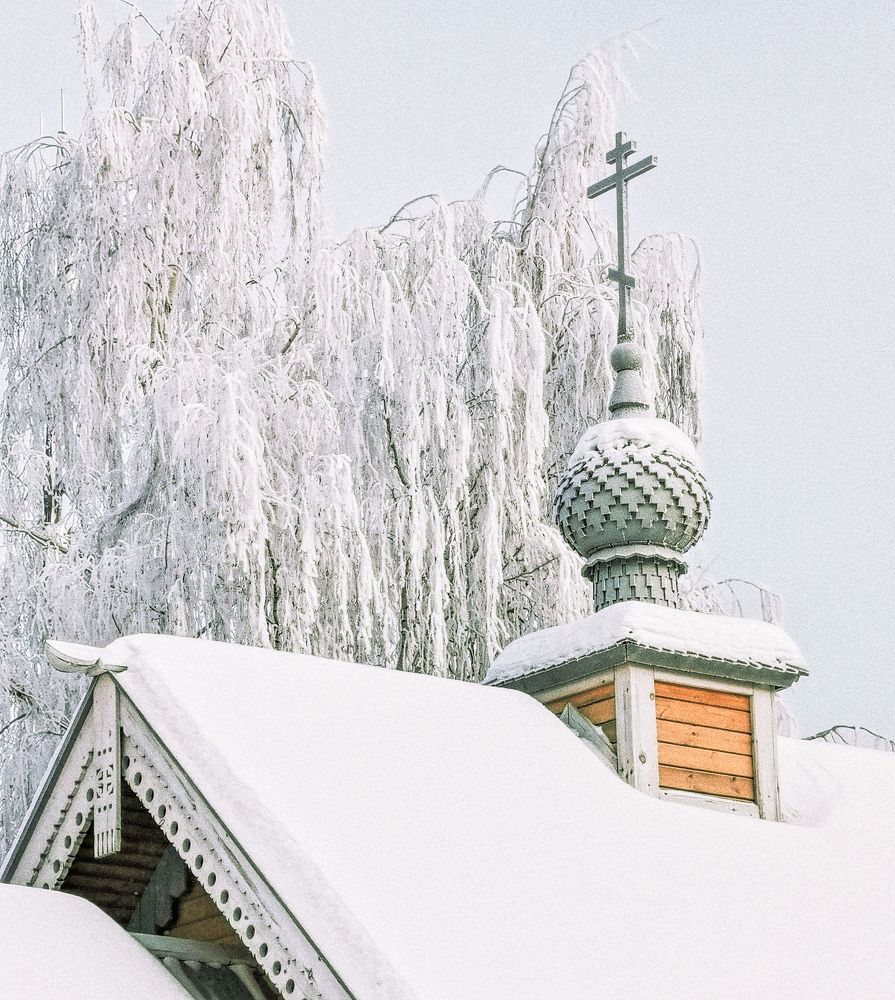 Photograph by Настя Хомастя