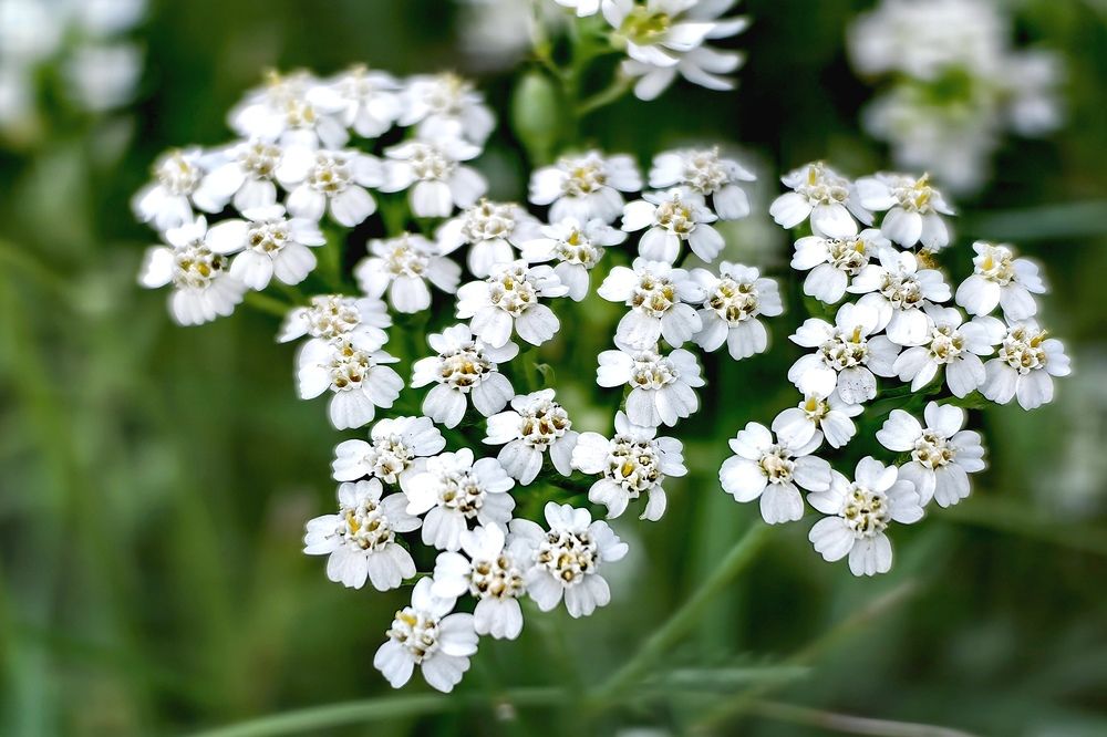 Photograph by Татьяна Бравая