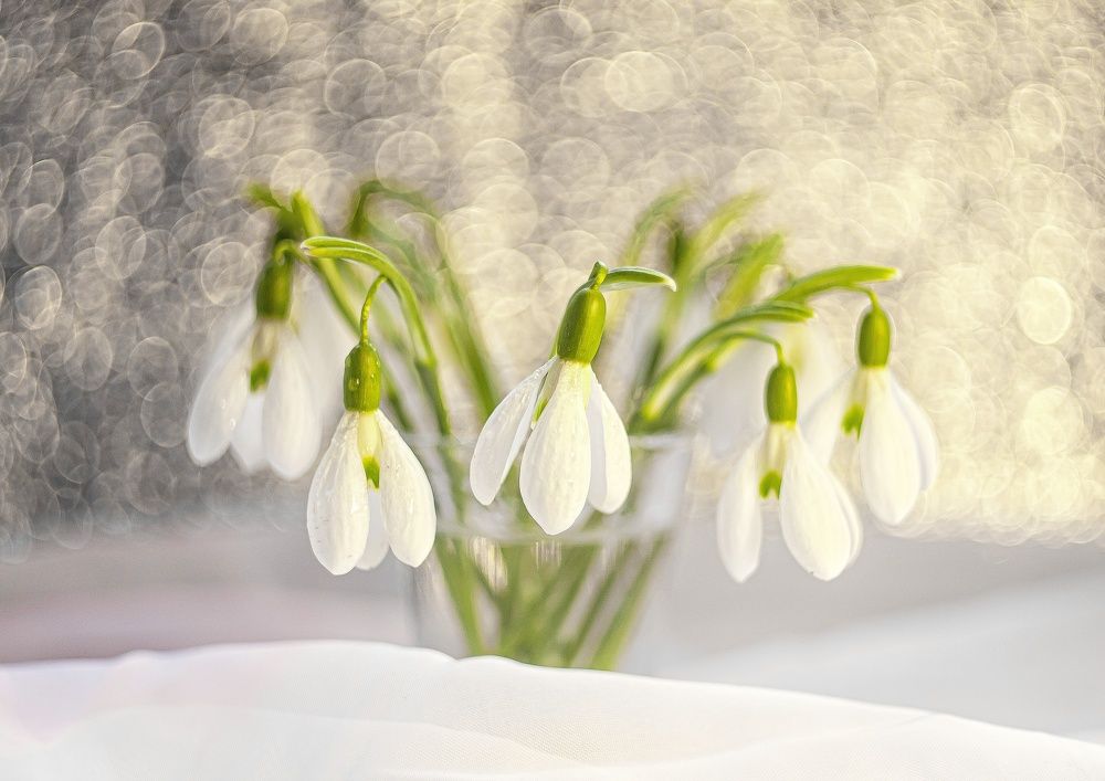 Photograph by Наталья Исиченко