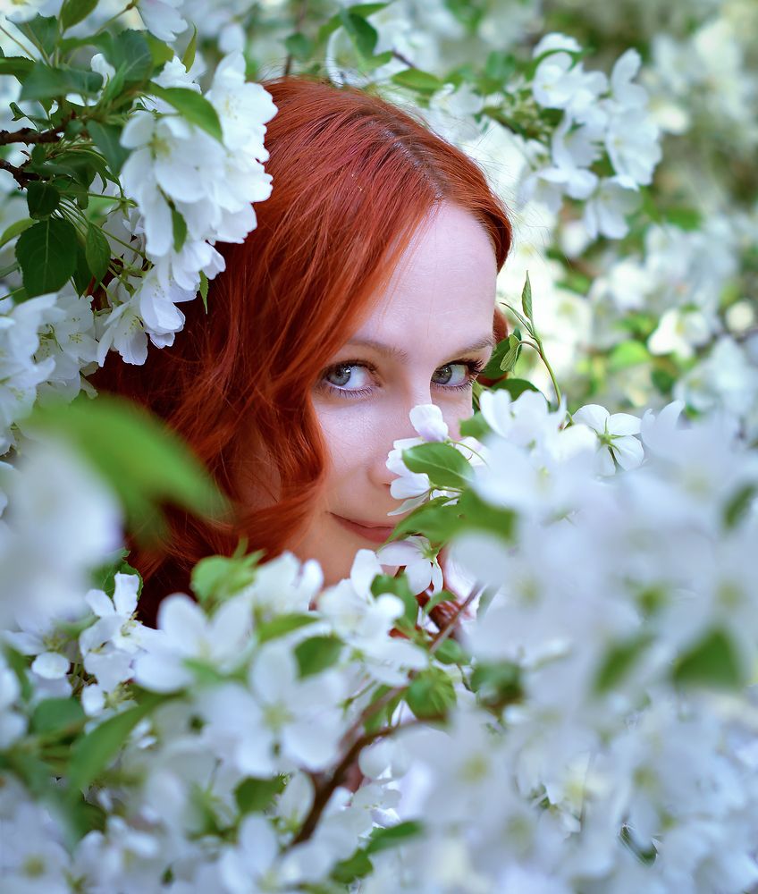 Фотография автора Алла Кожевникова