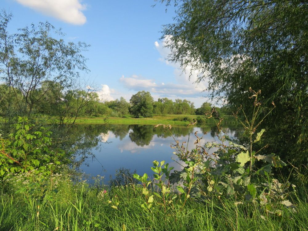 Фотография автора Ирина Лукьянчик