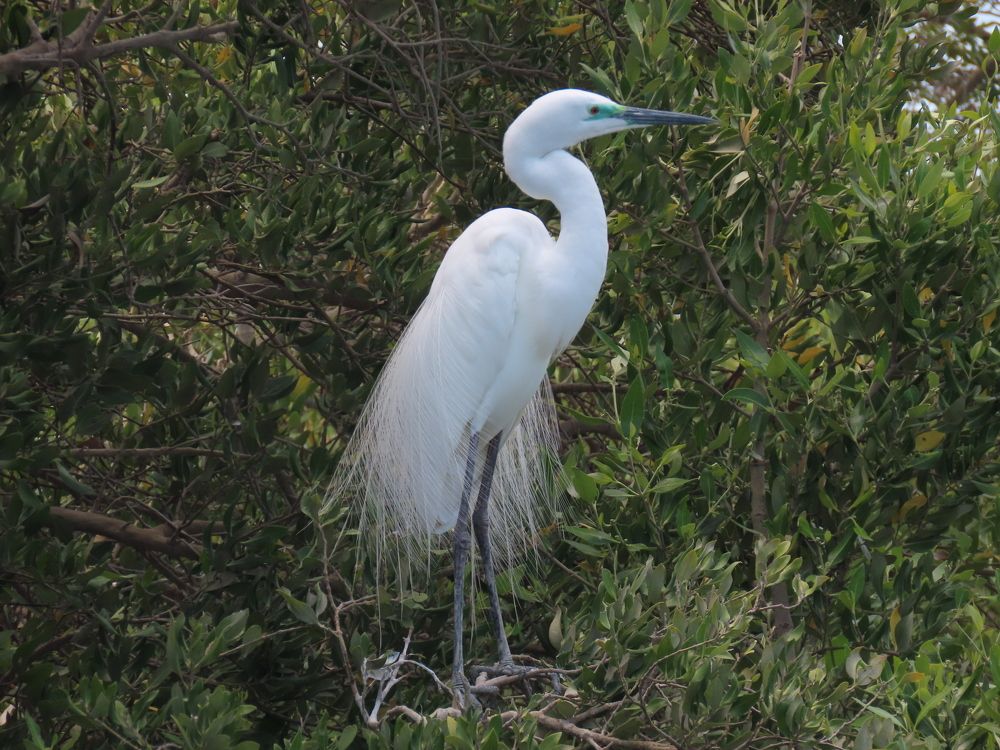 Photograph by mahboube moradalizade