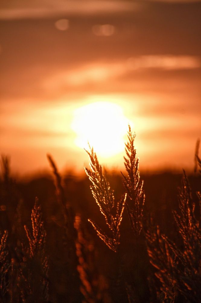 Photograph by Юлия Журавлёва