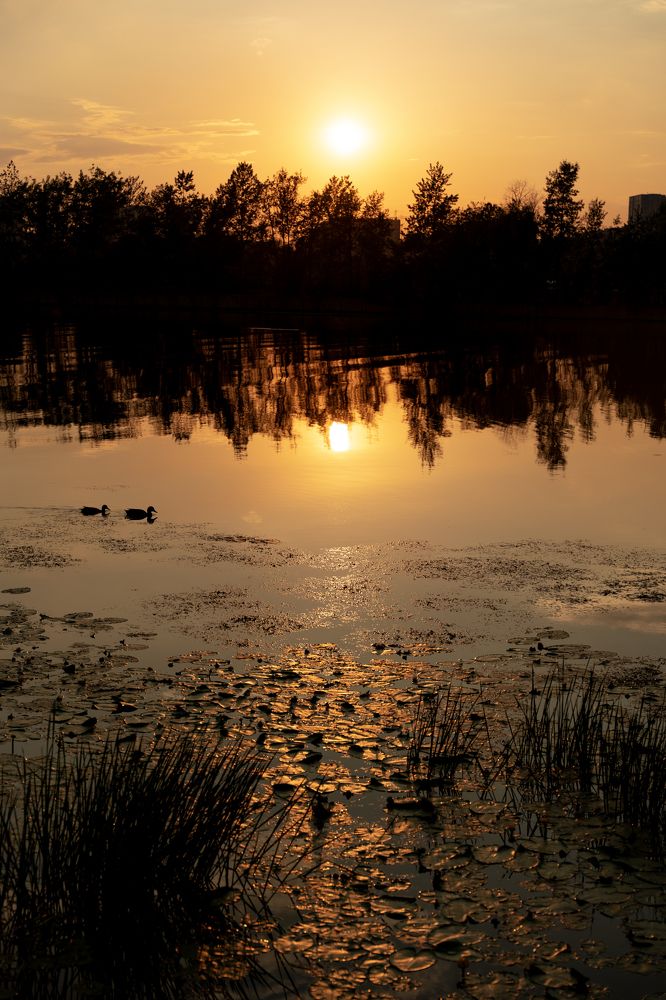 Photograph by Karpenko Denis