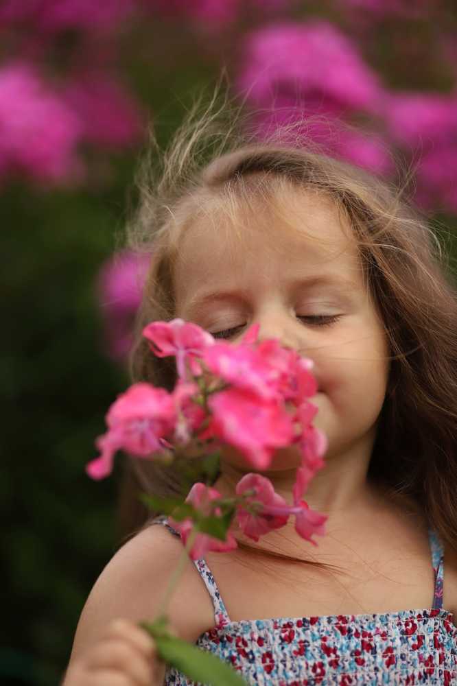 Photograph by Анастасия Павлова