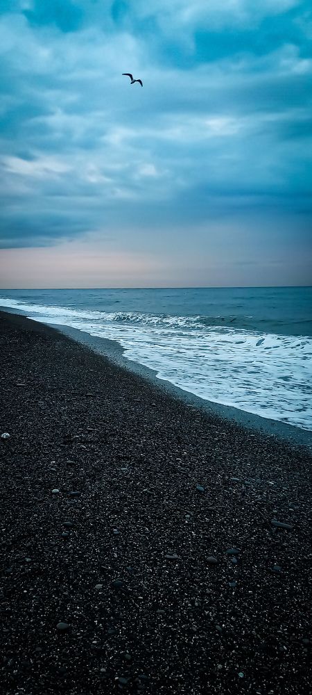 Фотография автора Анастасия Владимирова