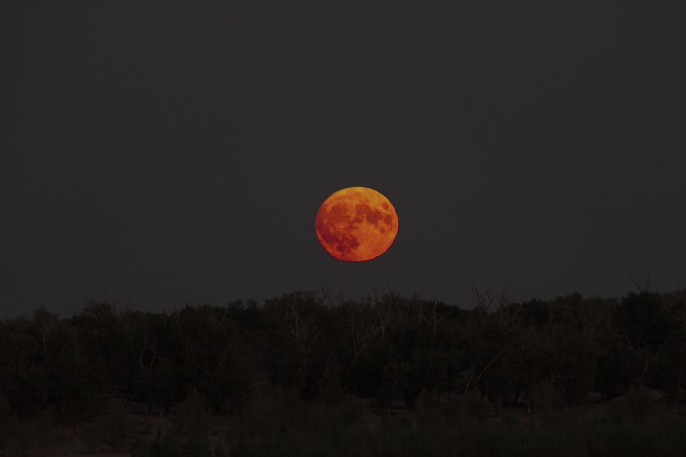 Photograph by Ирина Шибитова