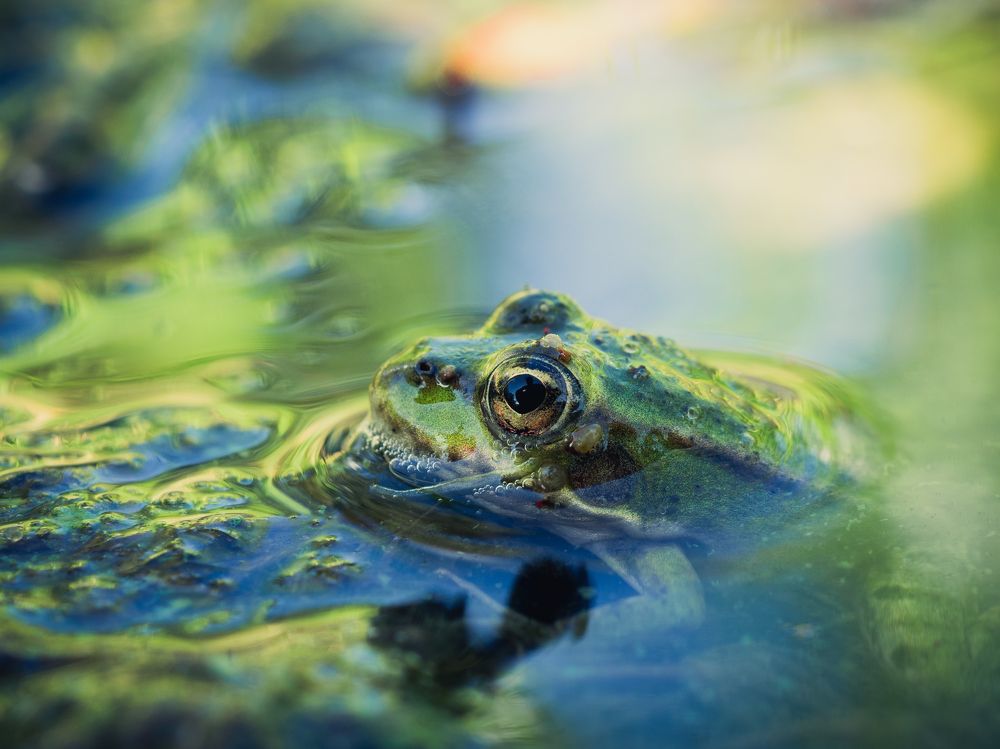 Photograph by Юрий Говорков