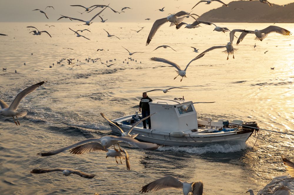 Photograph by Panagiotis Rontos