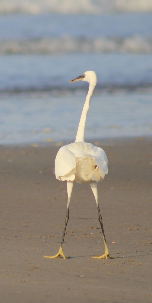 Photograph by Waleed Yousuf Alwahaibi