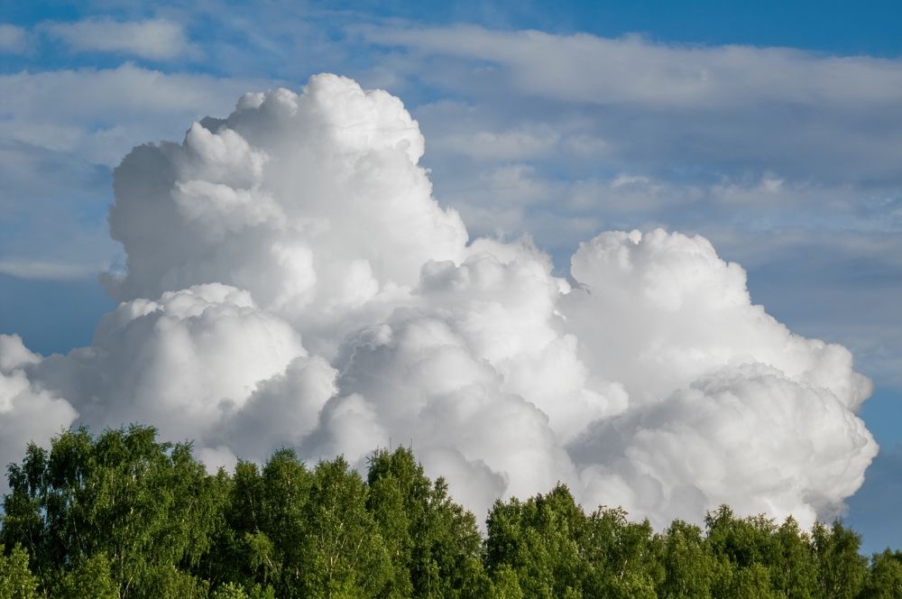 Мощь природы