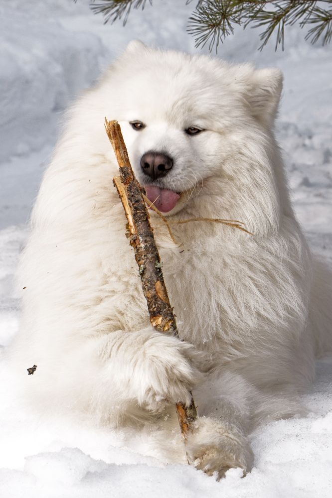 Photograph by Анастасия Северюхина