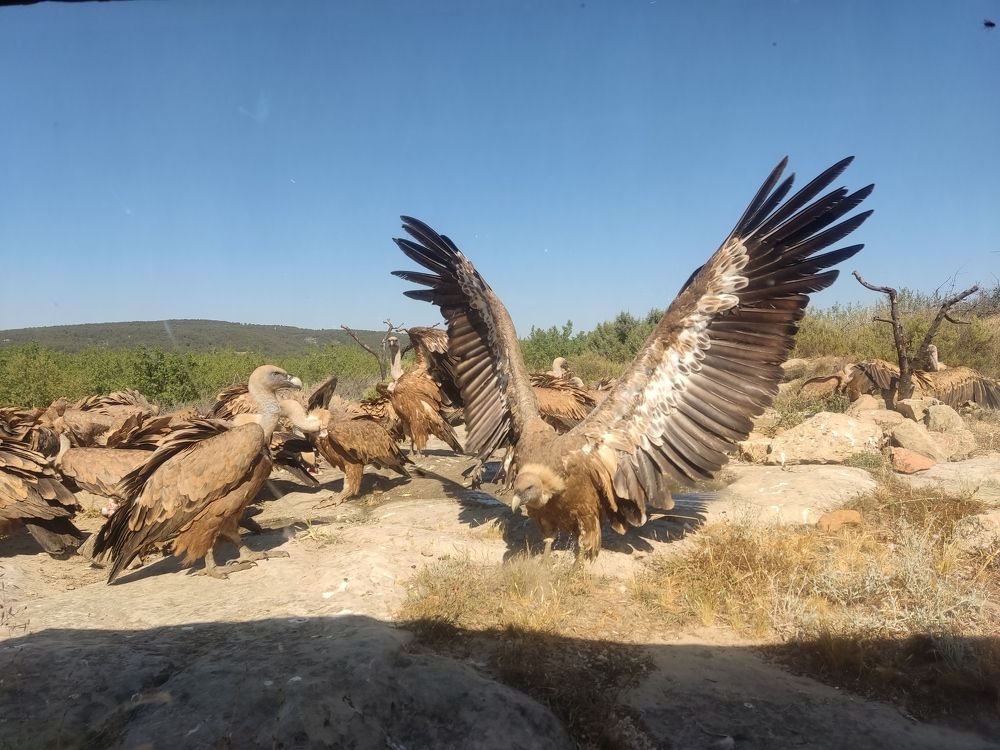 Фотография автора Jorge Herraiz