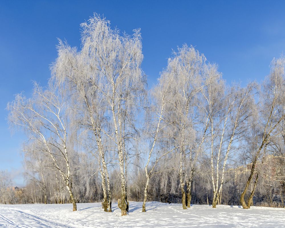 Photograph by Игорь Грашин