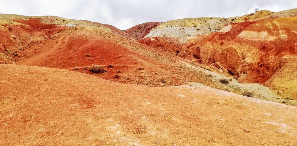 Photograph by Лариса Неудачина