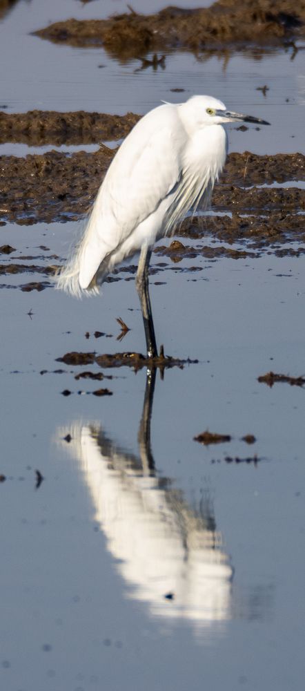 Фотография автора Jorge Herraiz