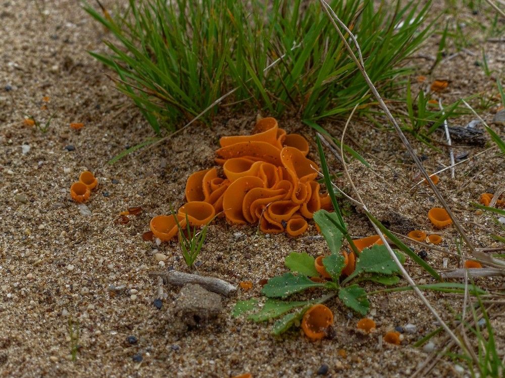 Photograph by Алексей Логинов