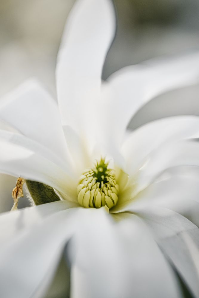 Photograph by Королева Екатерина