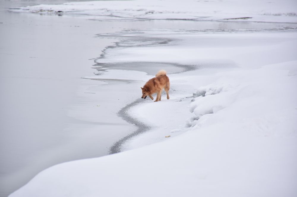 Photograph by Эльвира Быкова