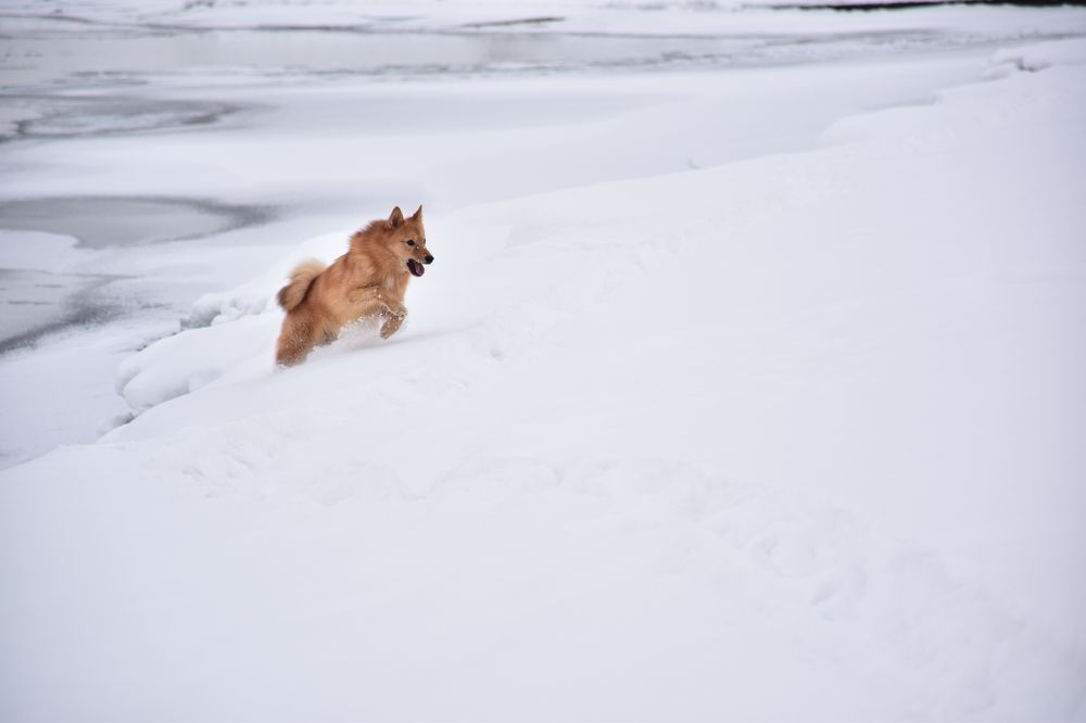 Photograph by Эльвира Быкова