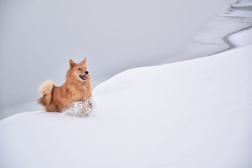 Photograph by Эльвира Быкова