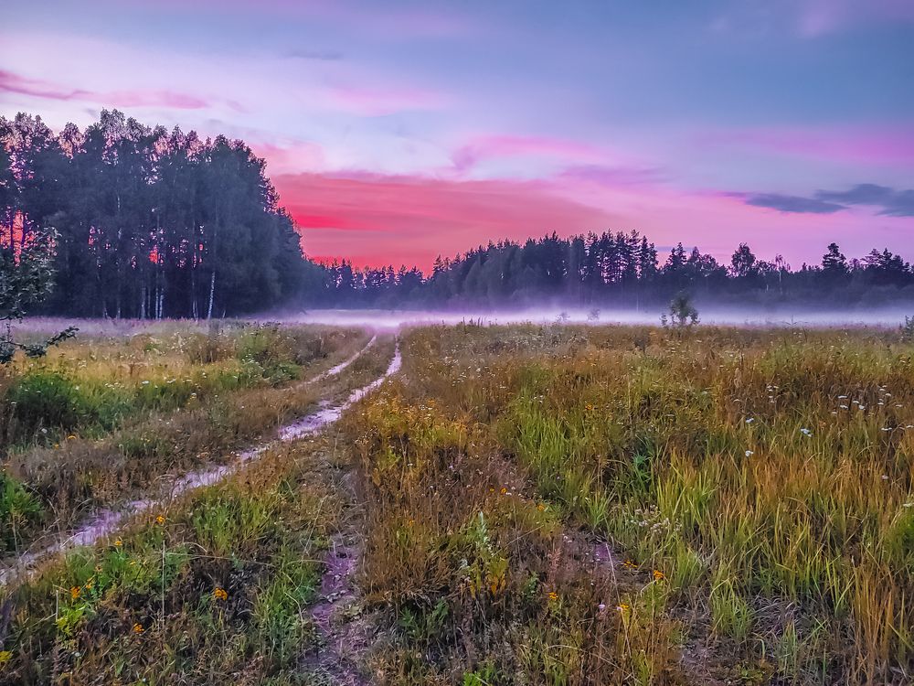 Photograph by Алёна Пшеленская