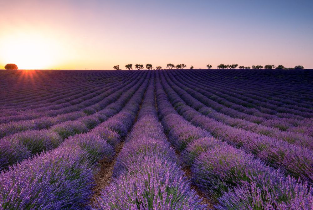 Tramonto a Valensole