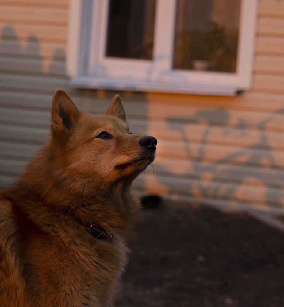 Photograph by Эльвира Быкова