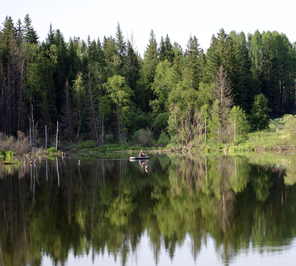 Photograph by Эльвира Быкова