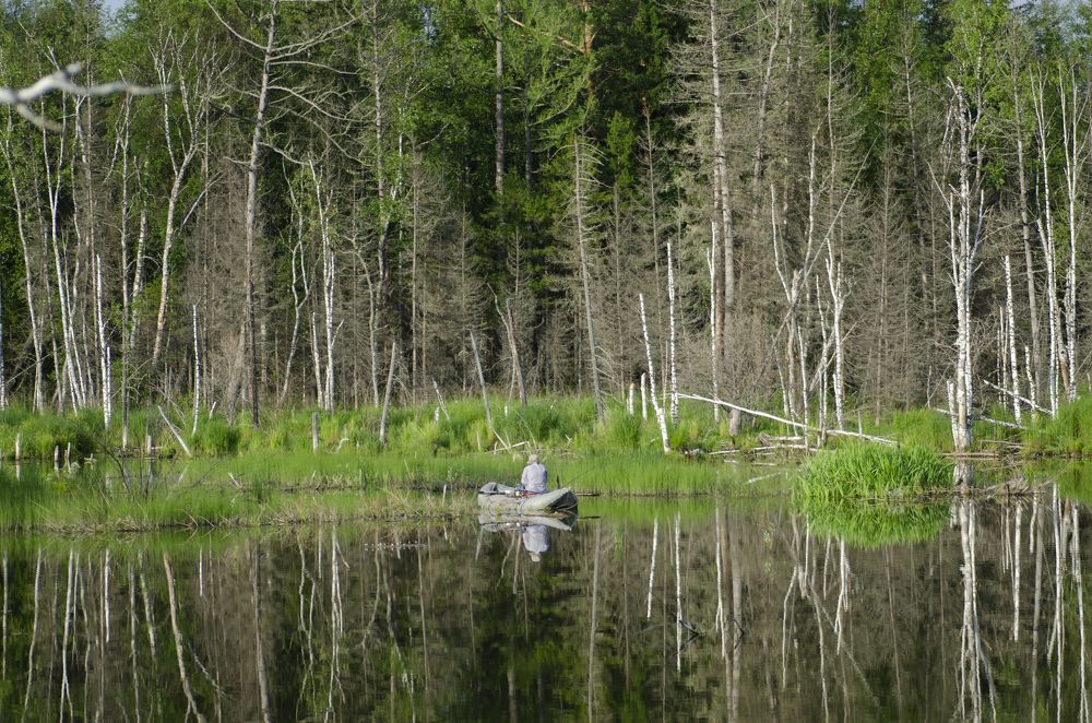 Photograph by Эльвира Быкова