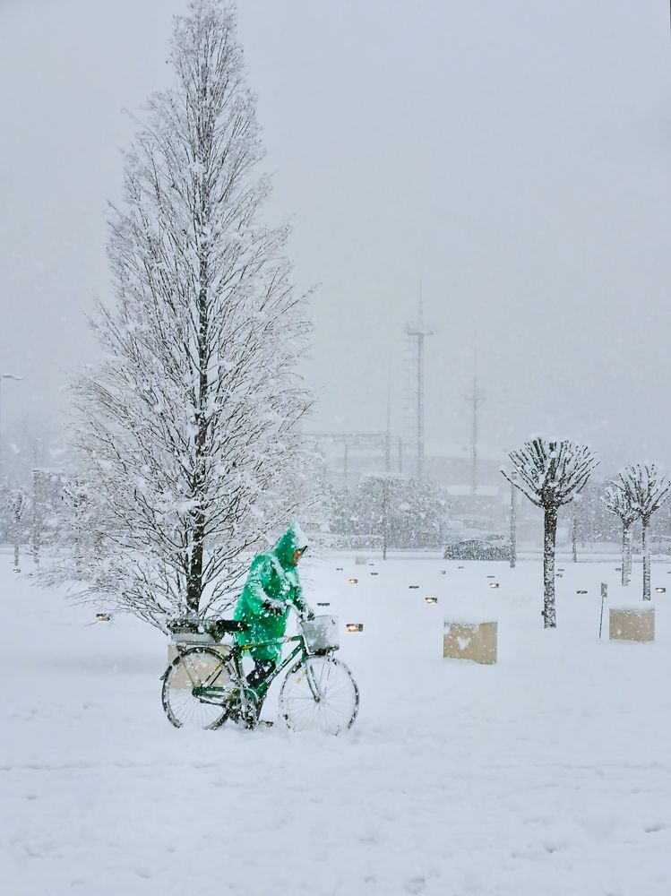 Photograph by Андрей Евтеев