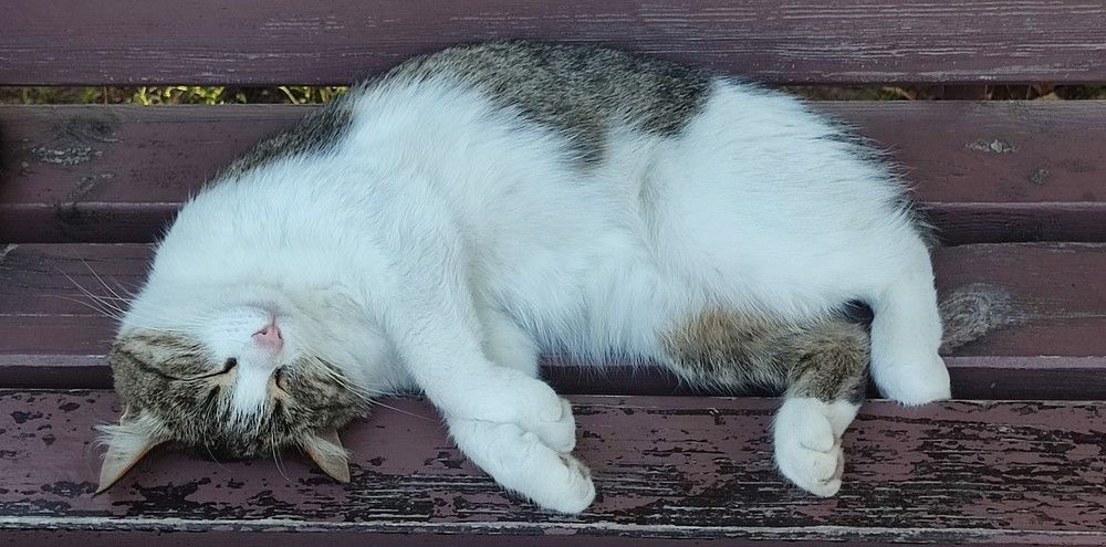 Photograph by Светлана Батурова