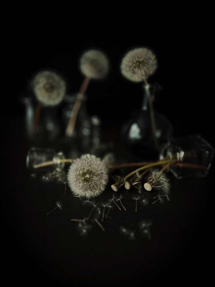 Photograph by Алена Жирова