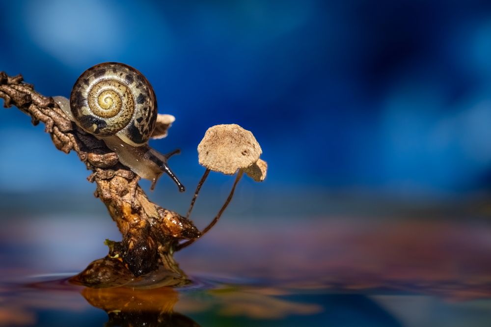 Photograph by Николай Фонарёв