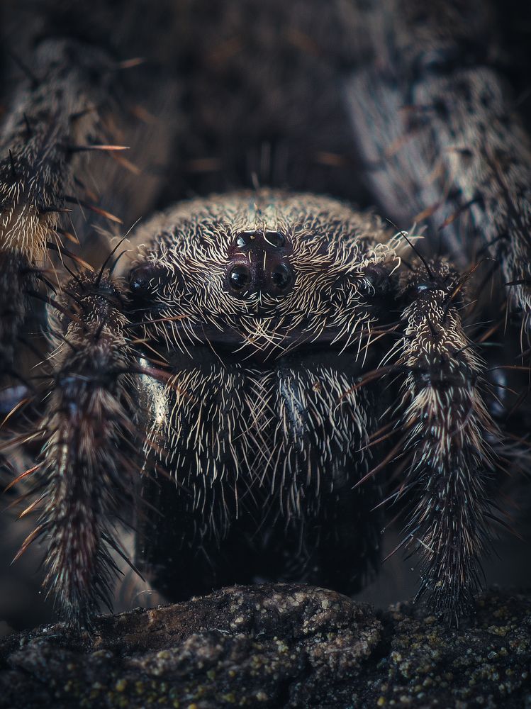 Photograph by Юрий Говорков