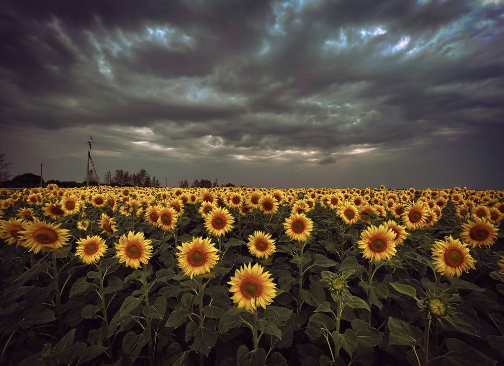 Photograph by Евгений Сеничев