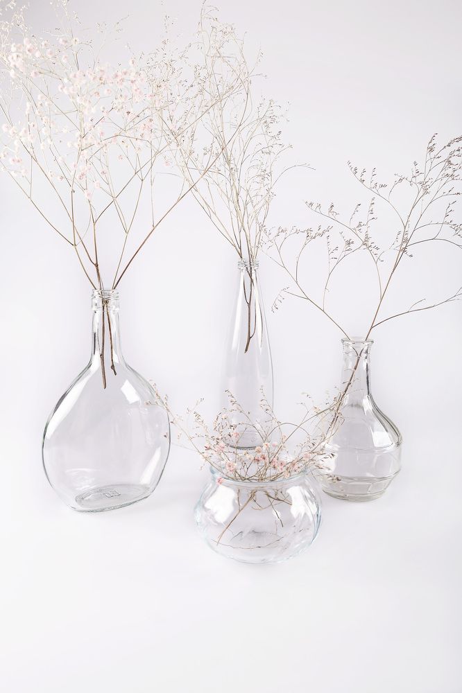 Фотография автора Альбина Кадочникова